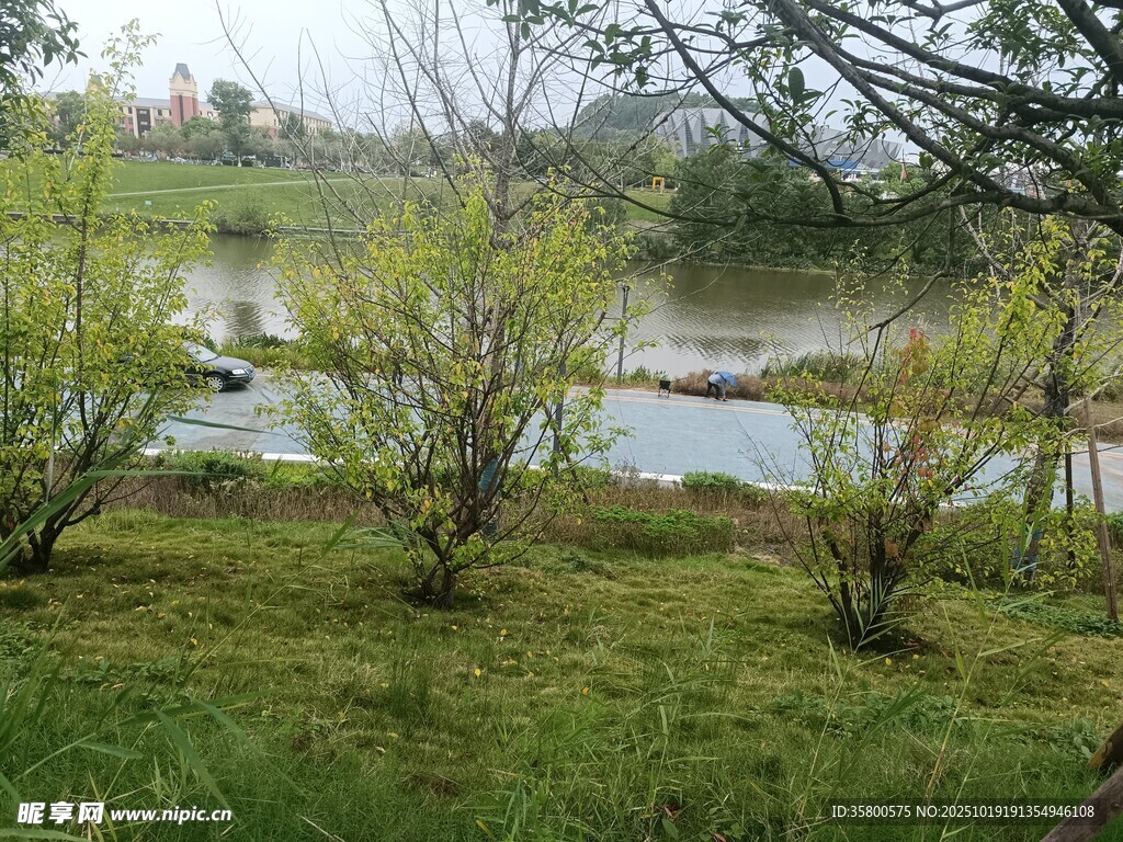 春日湖岸绿意盎然风景