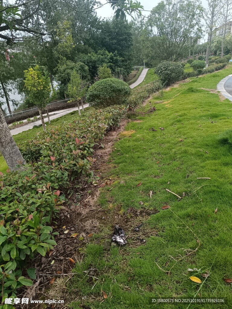 绿意盎然的户外小径风光