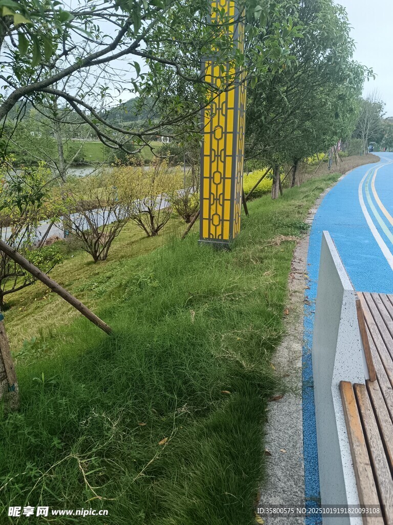 户外蓝白围栏旁的绿植景观