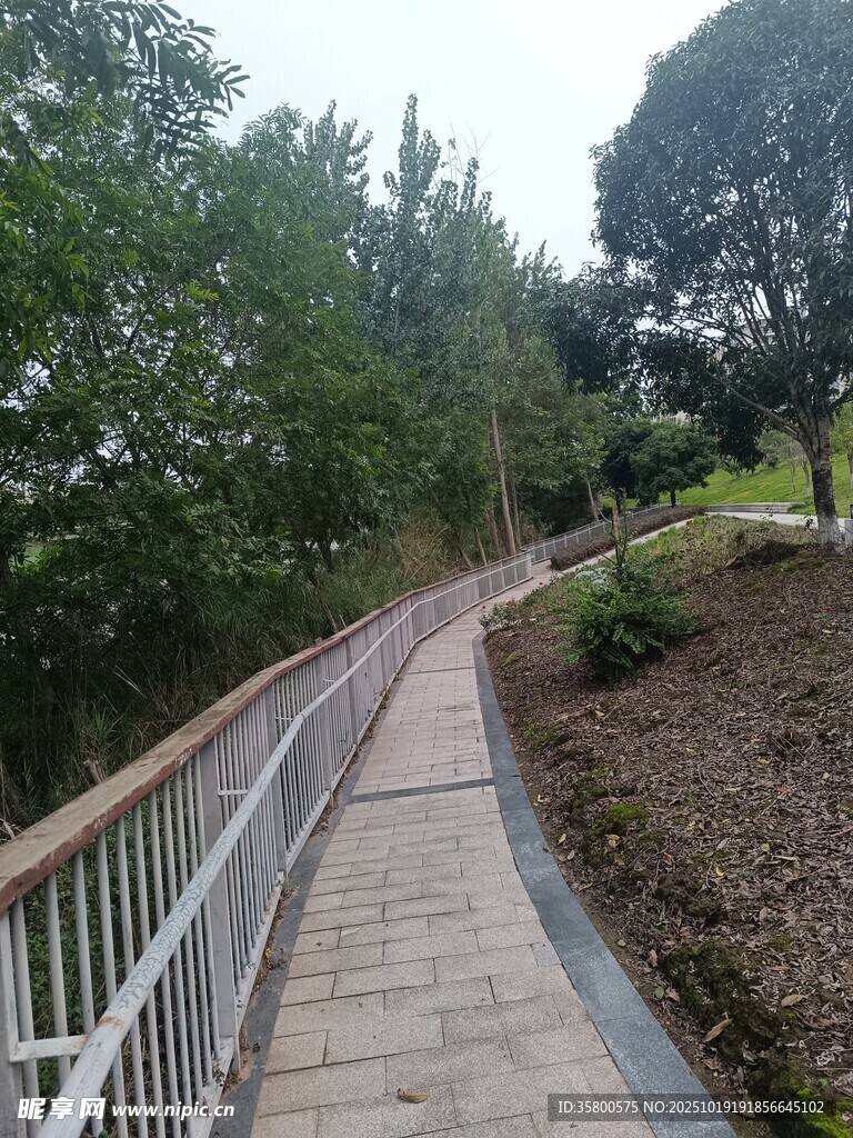 林间木质步道风景
