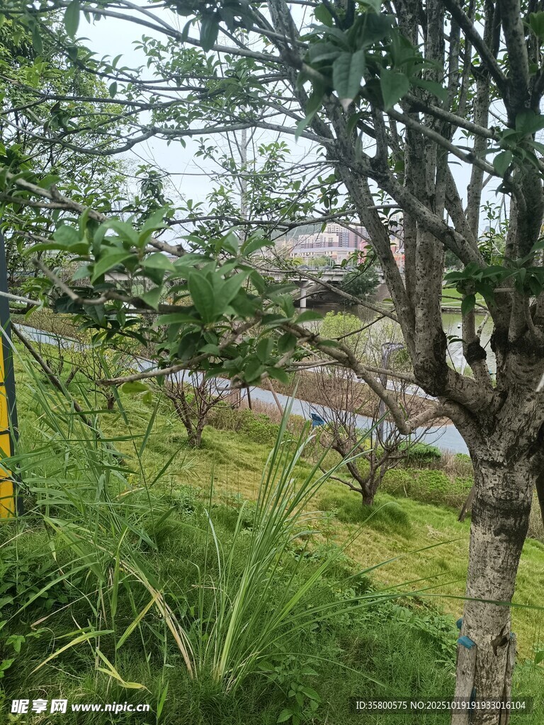 山林间的自然景致