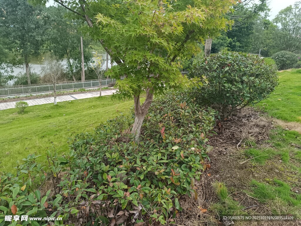 园林绿植景观一角