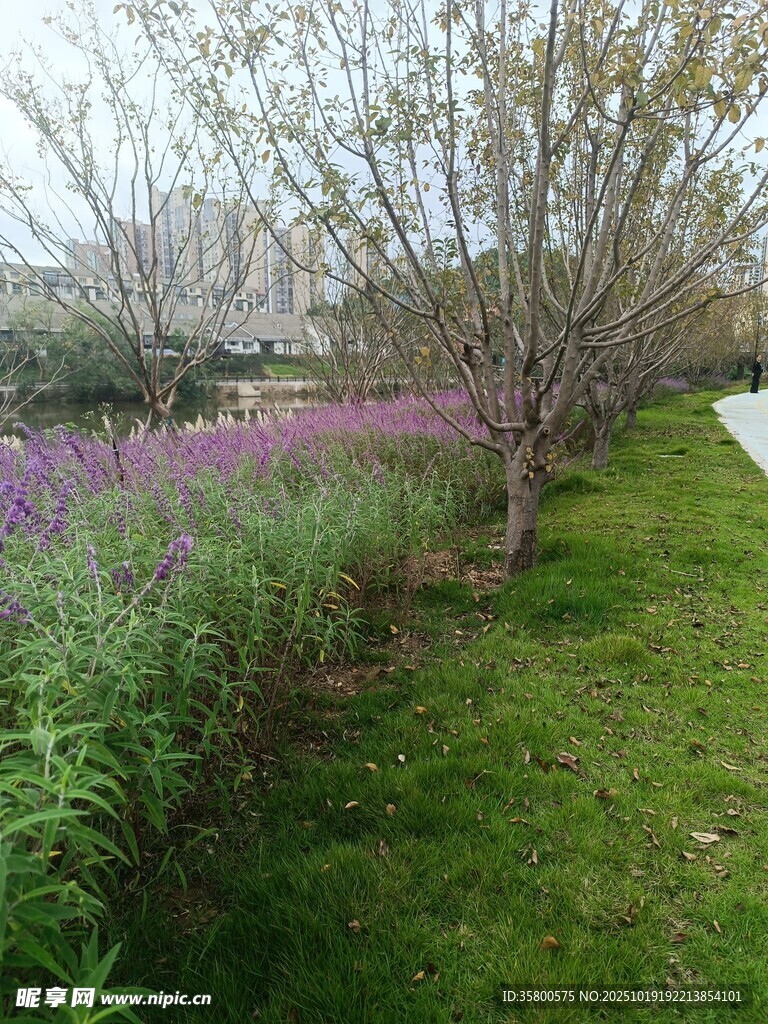 春日烂漫花田与葱郁草木