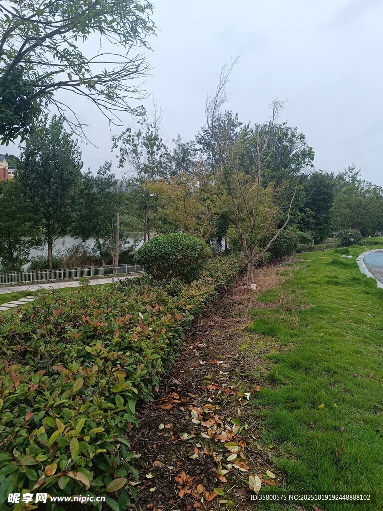秋日公园绿植小径景致