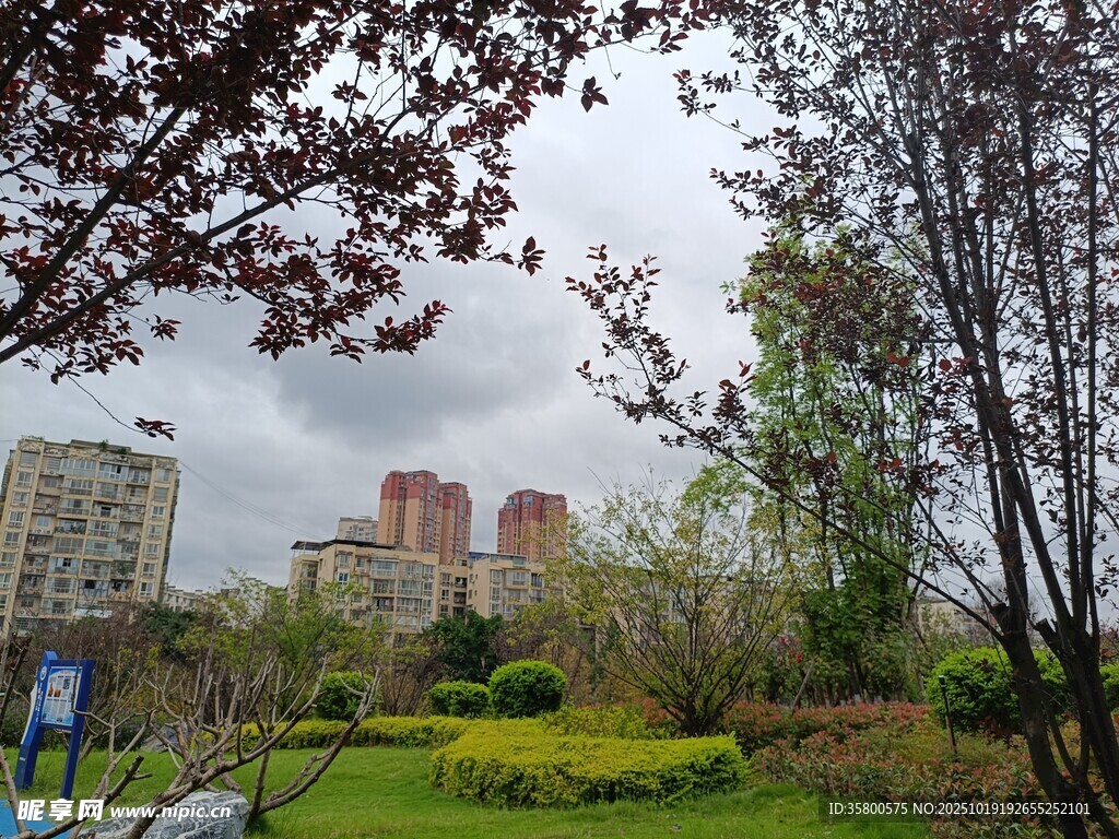 城市中的绿意公园景观