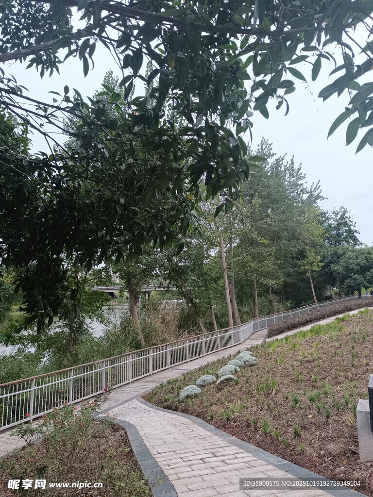 林间蜿蜒小径