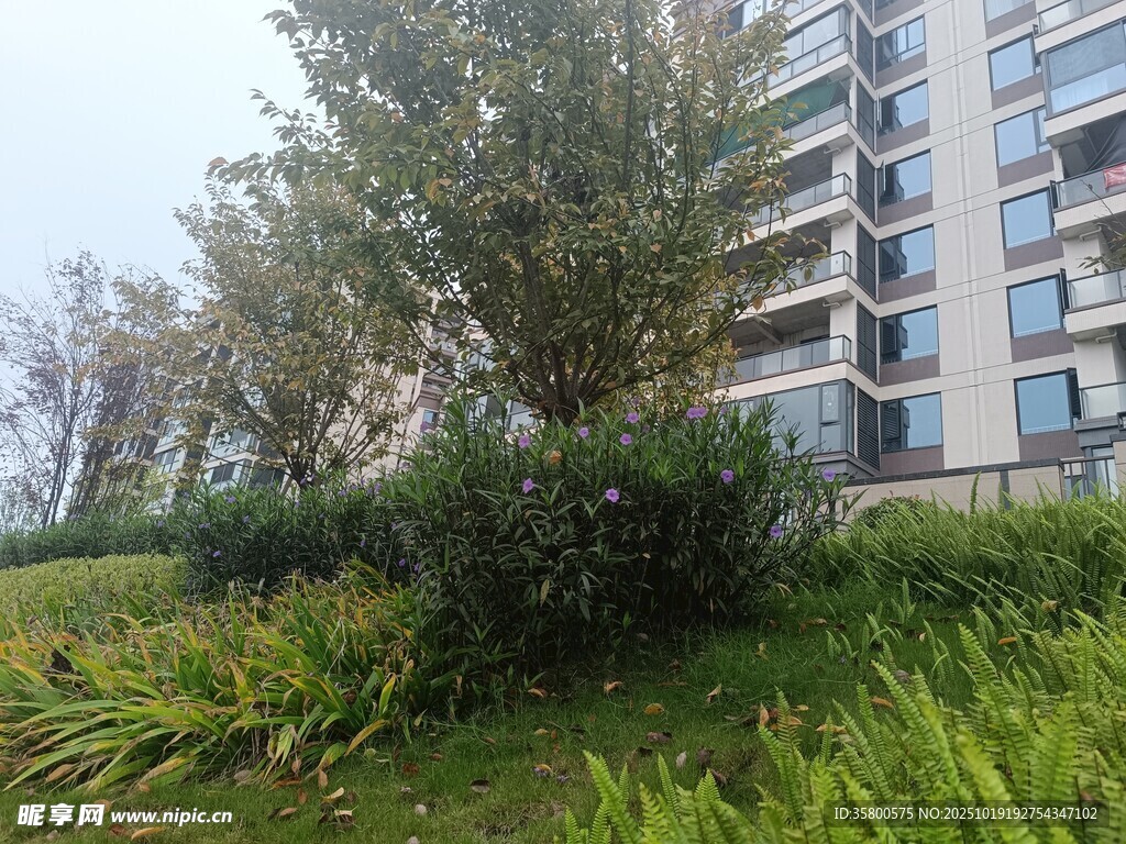 小区绿植环绕的现代建筑
