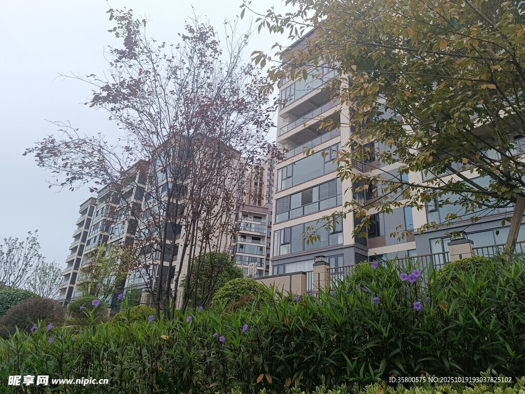 现代住宅旁绿植景观