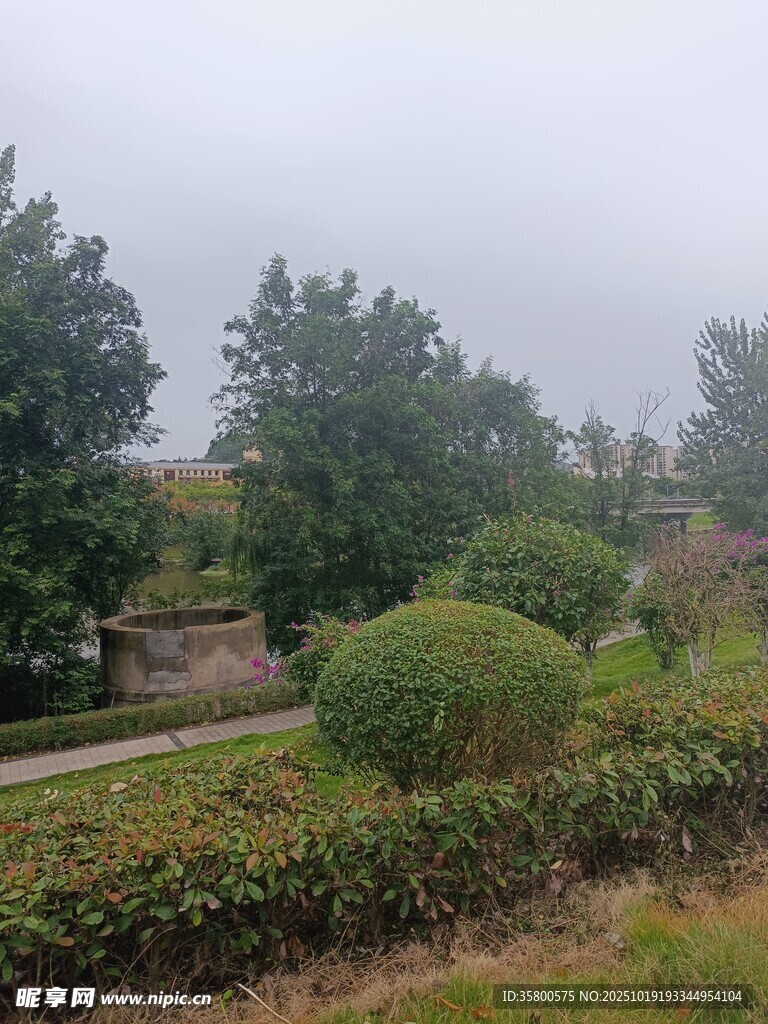 雾中园林景观