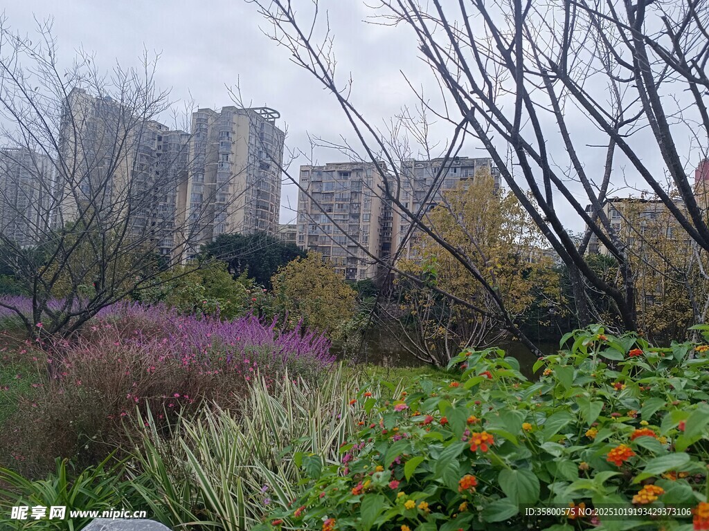 城市中的多彩植物景观