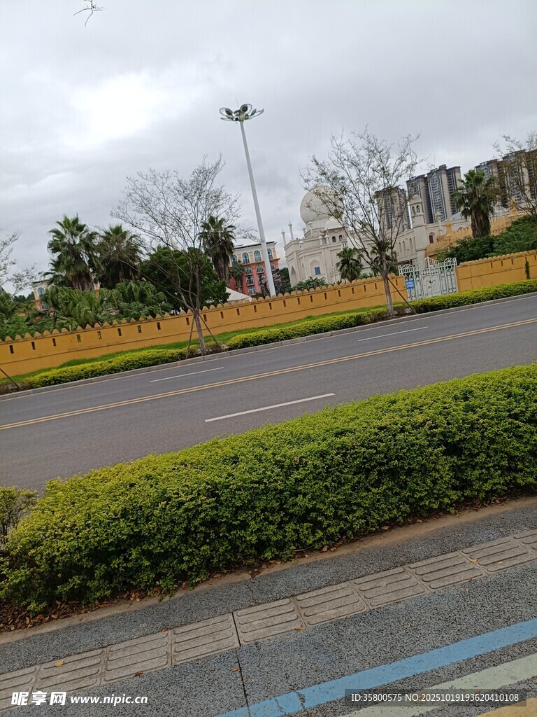 城市路边绿化带景观