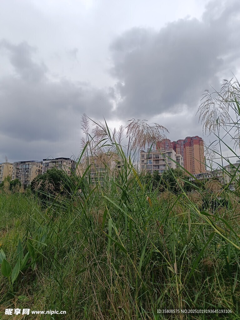 城郊草地与远处多彩建筑
