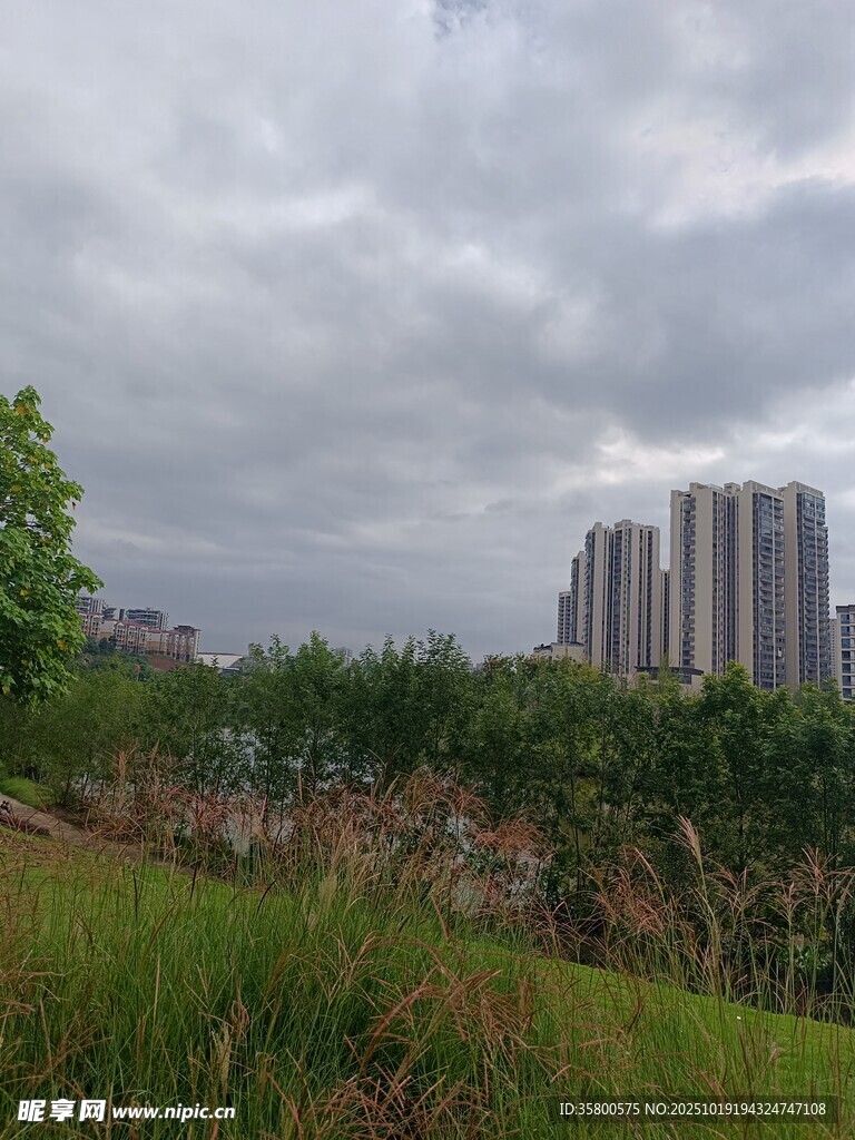 城市边缘的草地与高楼景观