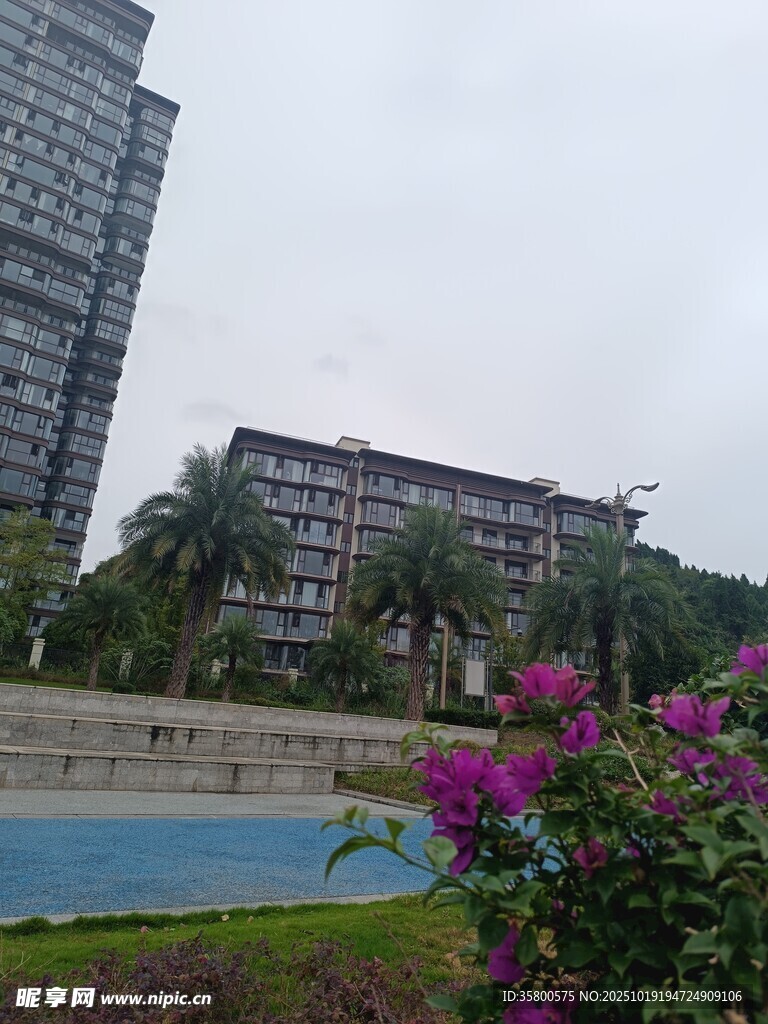 城市景观中的花草与建筑