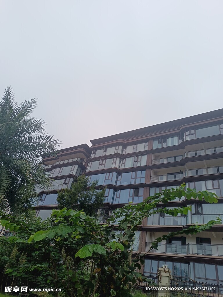 老旧居民楼旁绿植繁茂