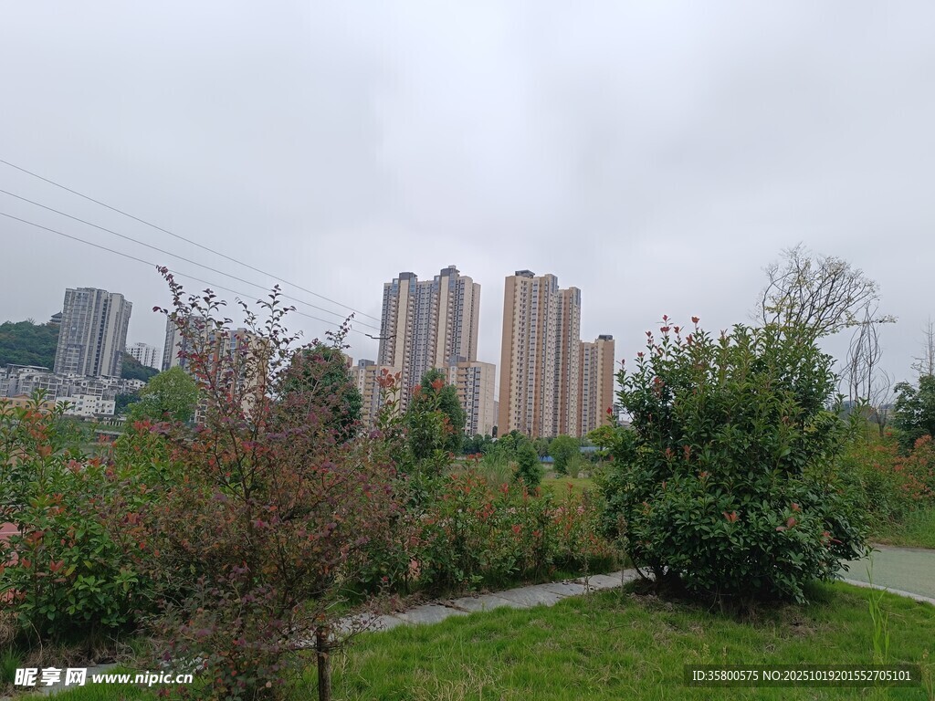 城市中的绿意景观