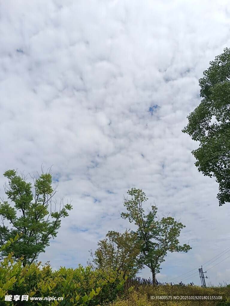 蓝天白云下的绿意风景