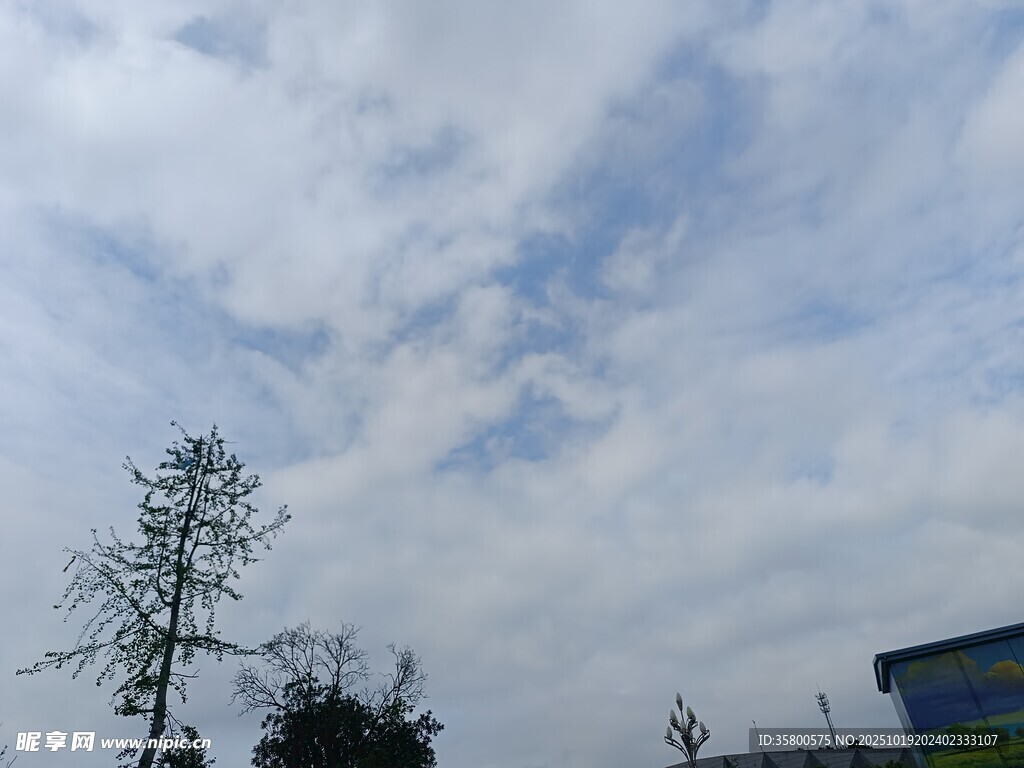 蓝天白云下的树木与建筑