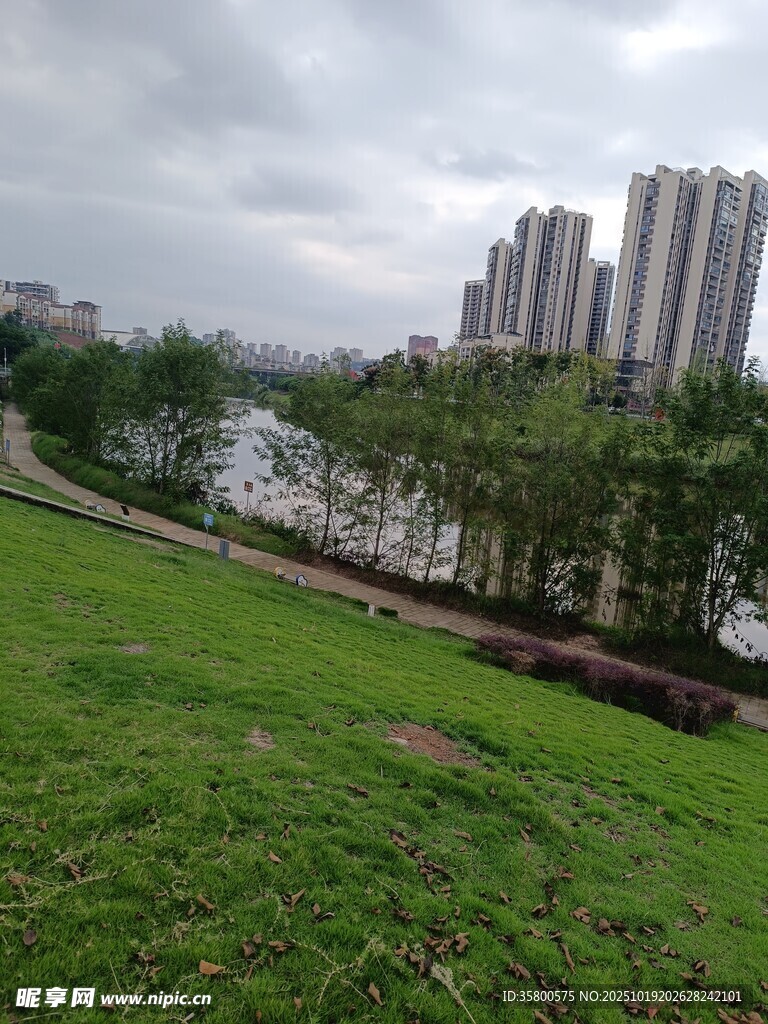 城市河畔绿地景观