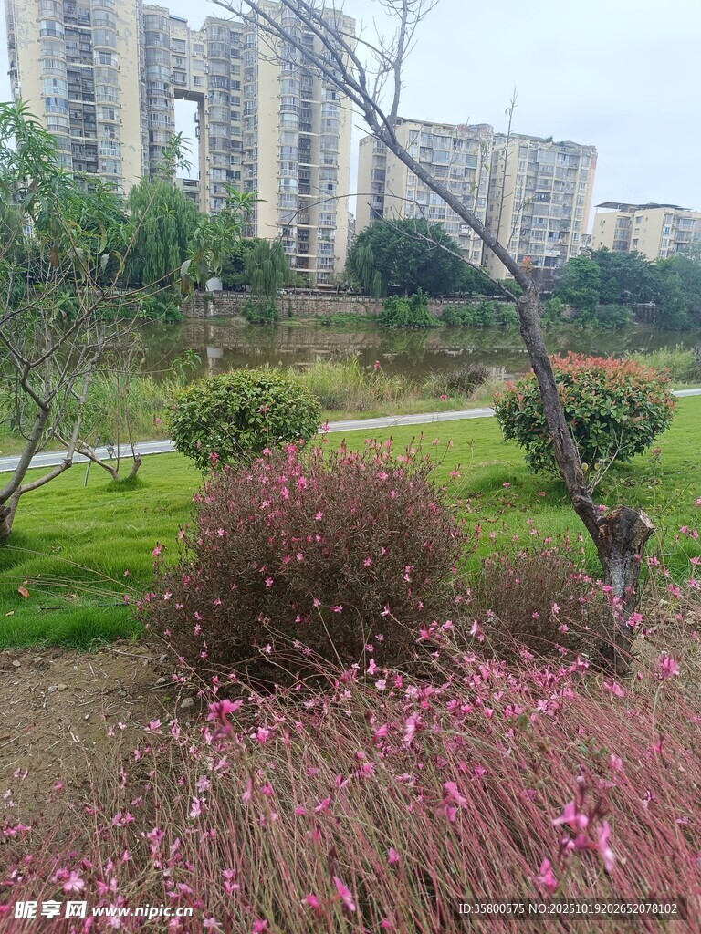 城市公园中的花卉绿植景观