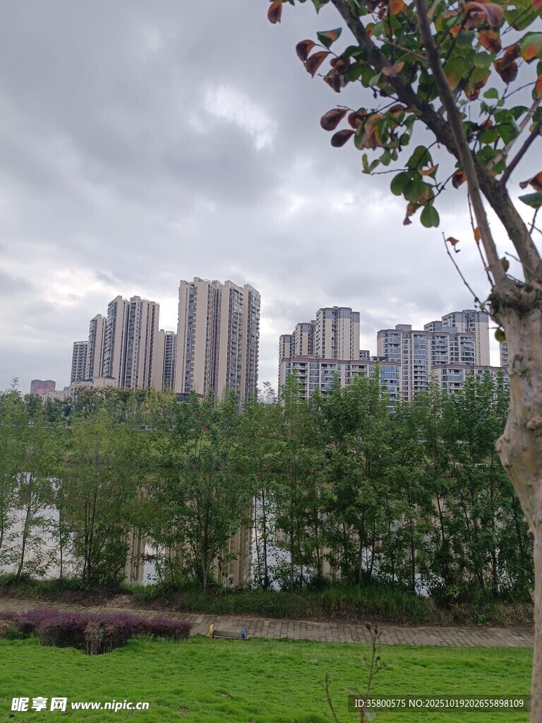 城市绿地旁的高楼景观