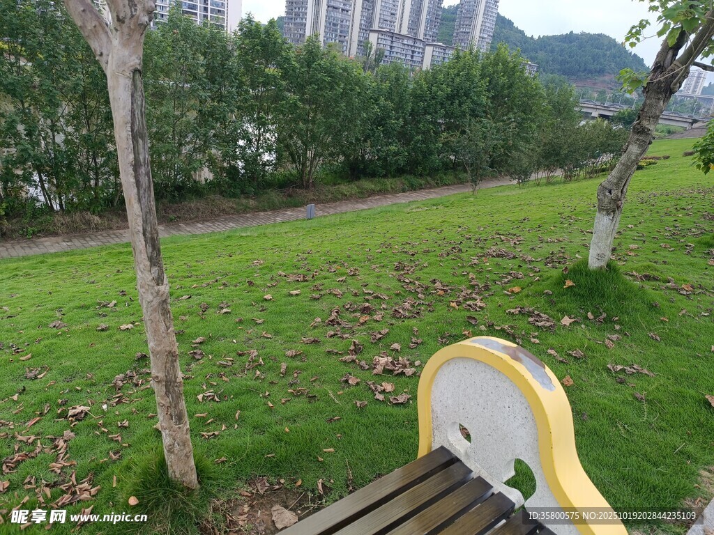 公园长椅旁的绿意景致