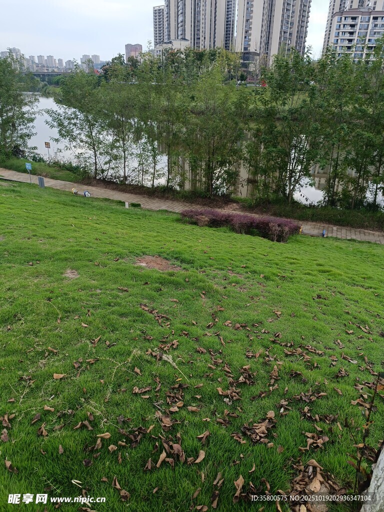 城市河畔的翠绿草地景观