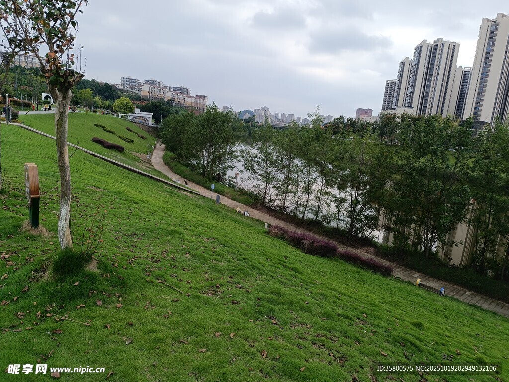 城市河畔绿地风光