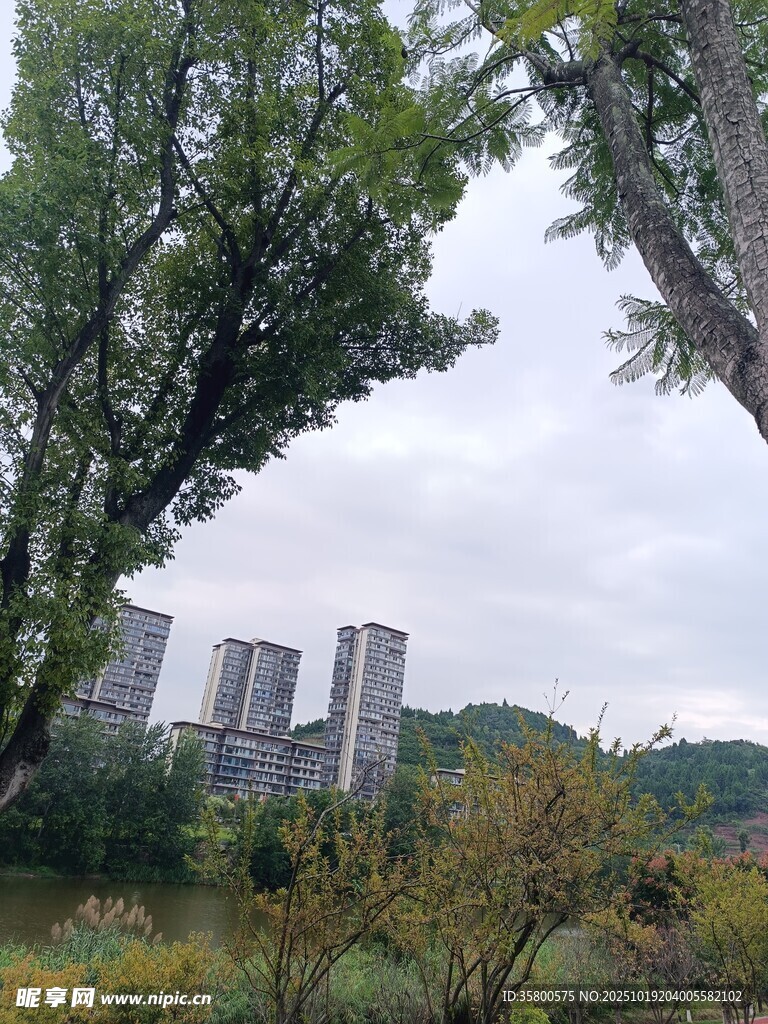 城市边的自然绿意景观