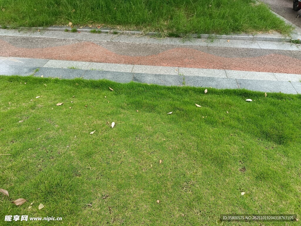 户外草地旁的步道