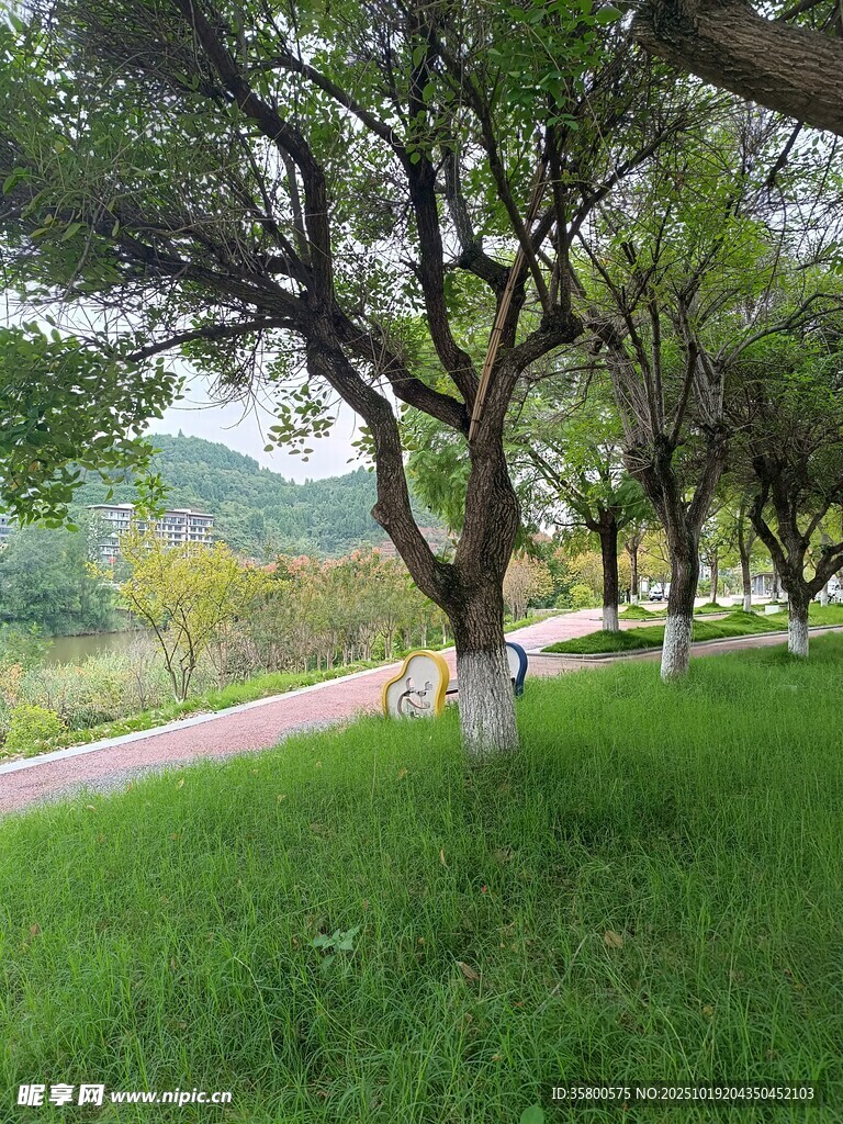 林间草地