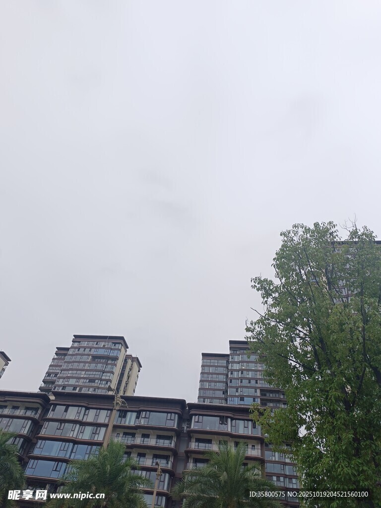 阴天里的高楼与绿树