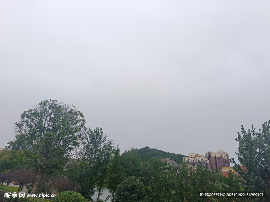 阴天的户外绿植景观