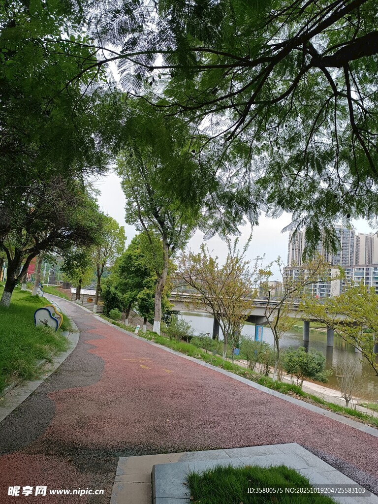河畔绿荫下的休闲步道