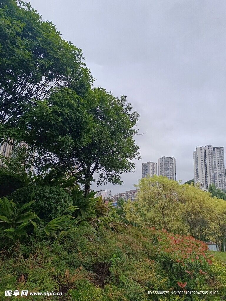 城市中的绿意盎然景观