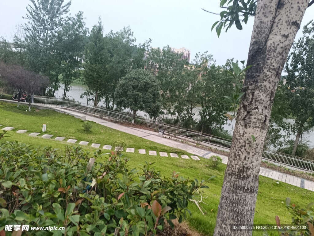 湖畔绿意盎然的休闲小径
