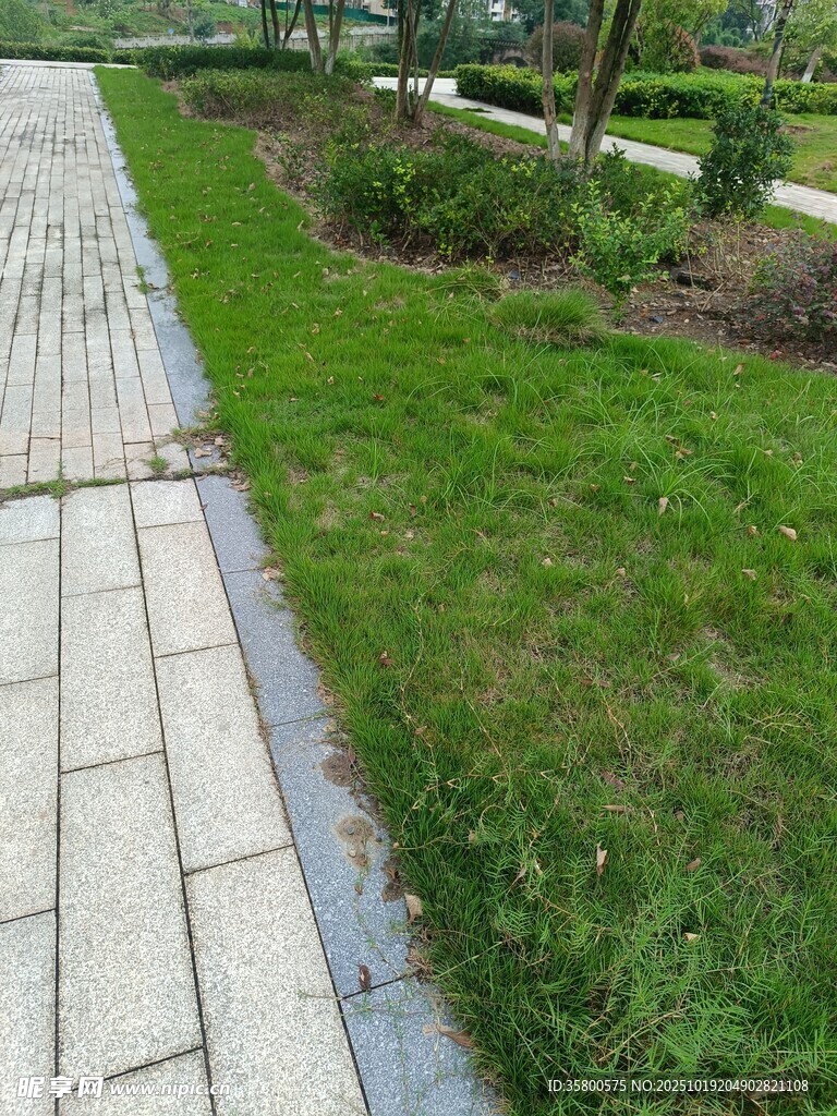 路边翠绿草坪与砖石步道