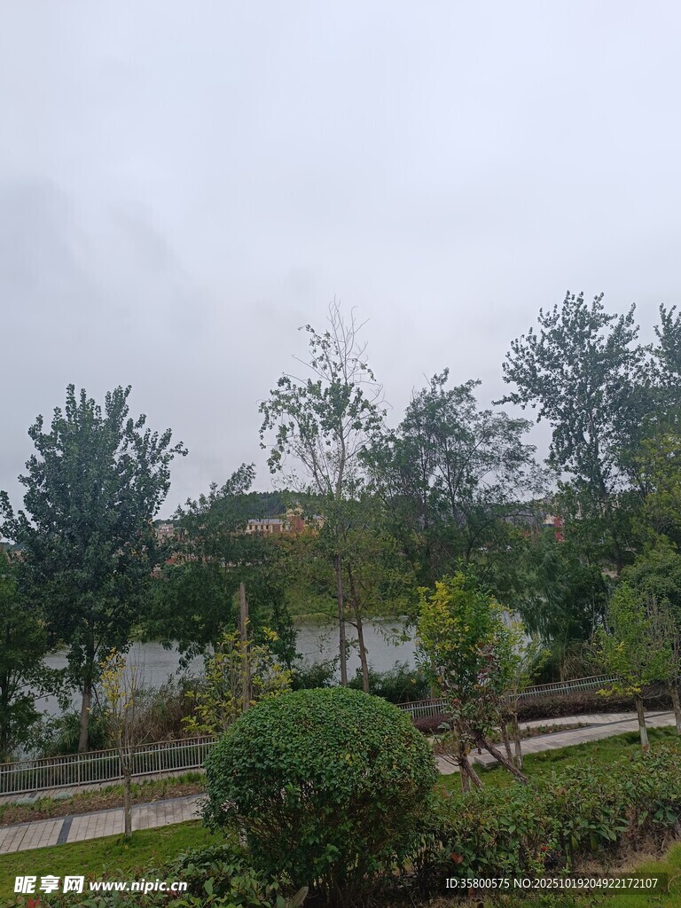 雨中庭院绿植景观