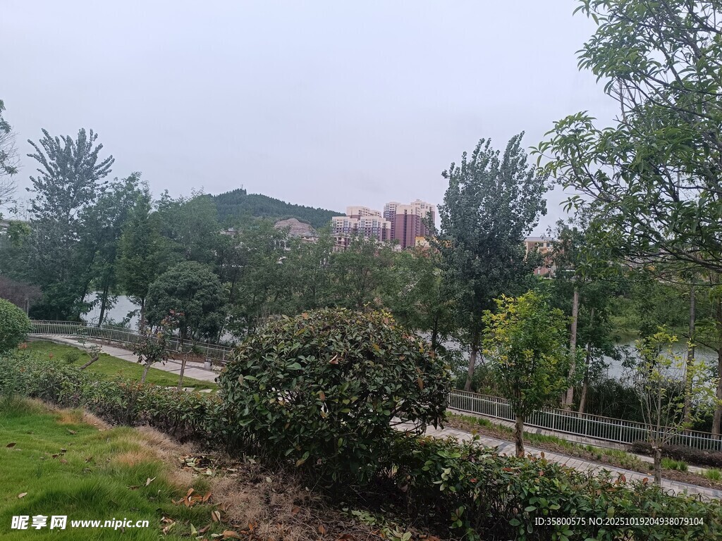 城郊绿意盎然的自然风光