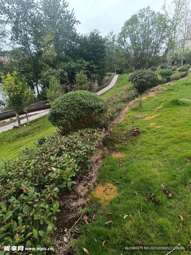 绿意盎然的户外园林景观