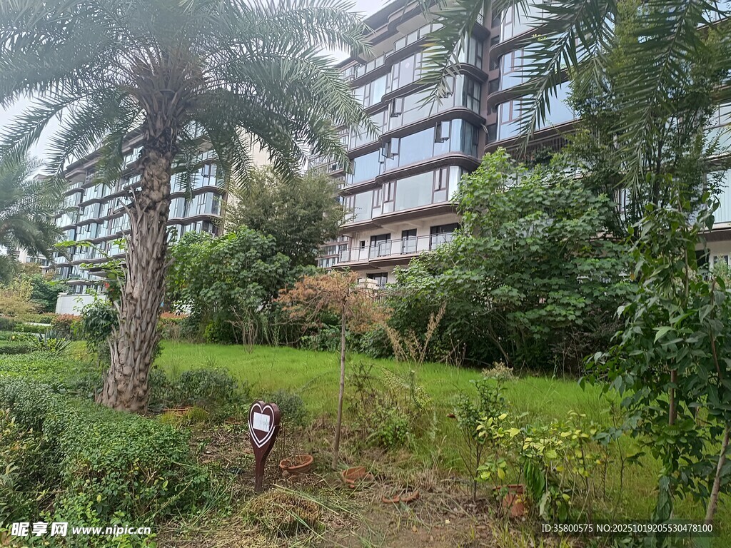 绿植环绕的现代建筑景观