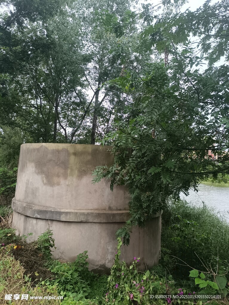 野外水泥结构与绿植景观