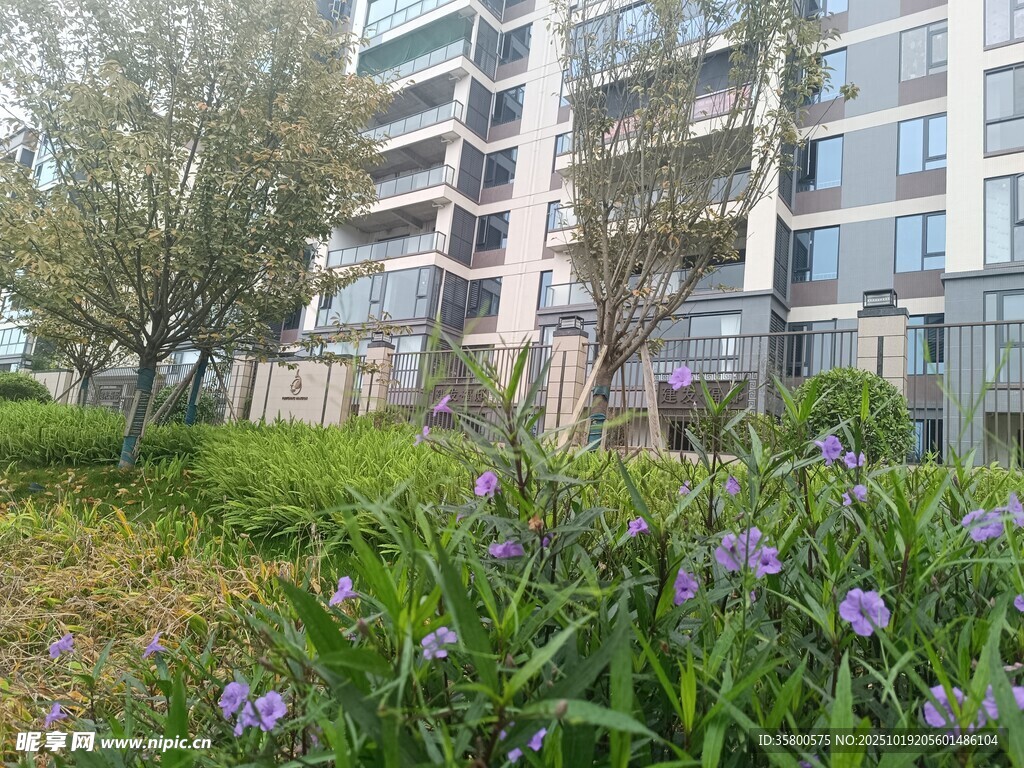 小区绿植环绕的现代建筑