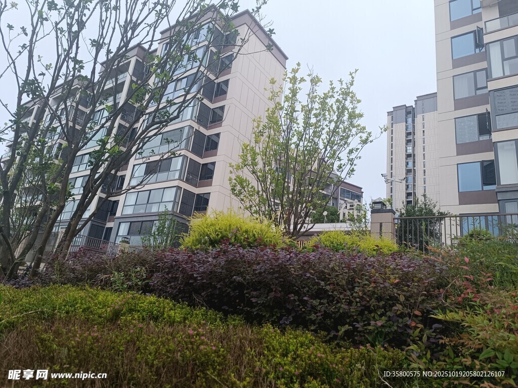 小区绿植环绕的楼宇景观