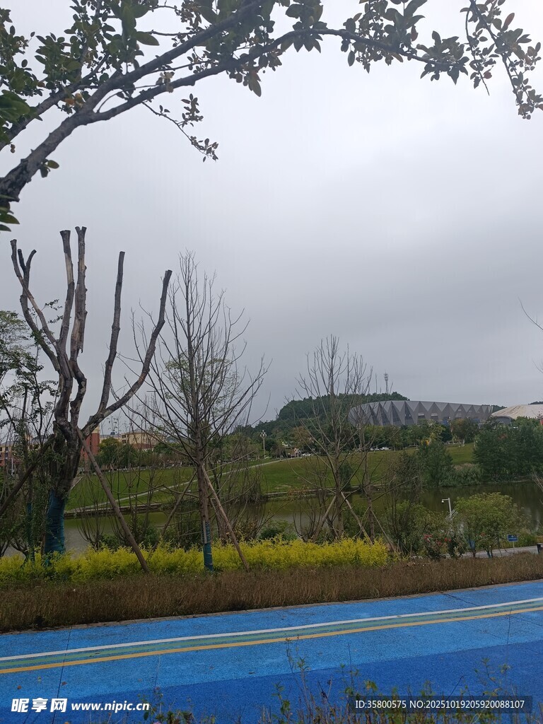 公园蓝色步道与绿植景观