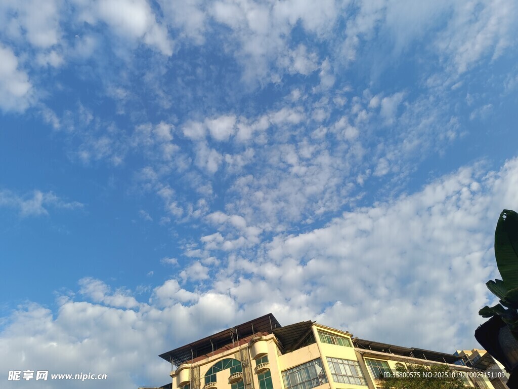 蓝天之下的精美建筑