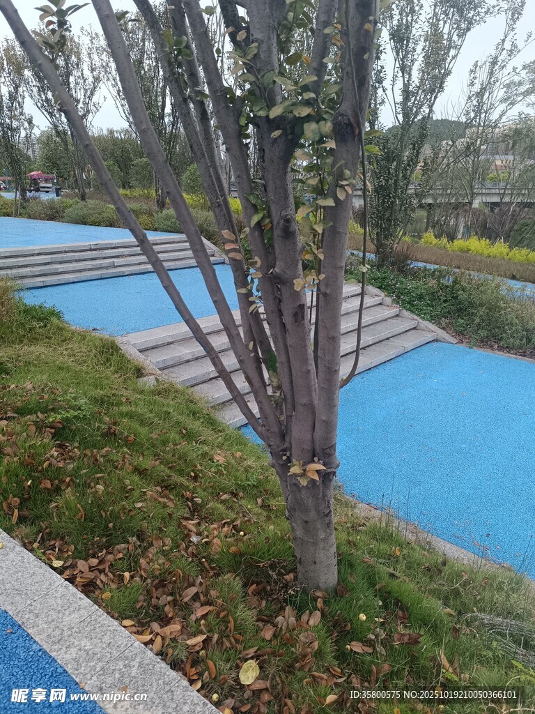户外蓝色景观水池与绿植