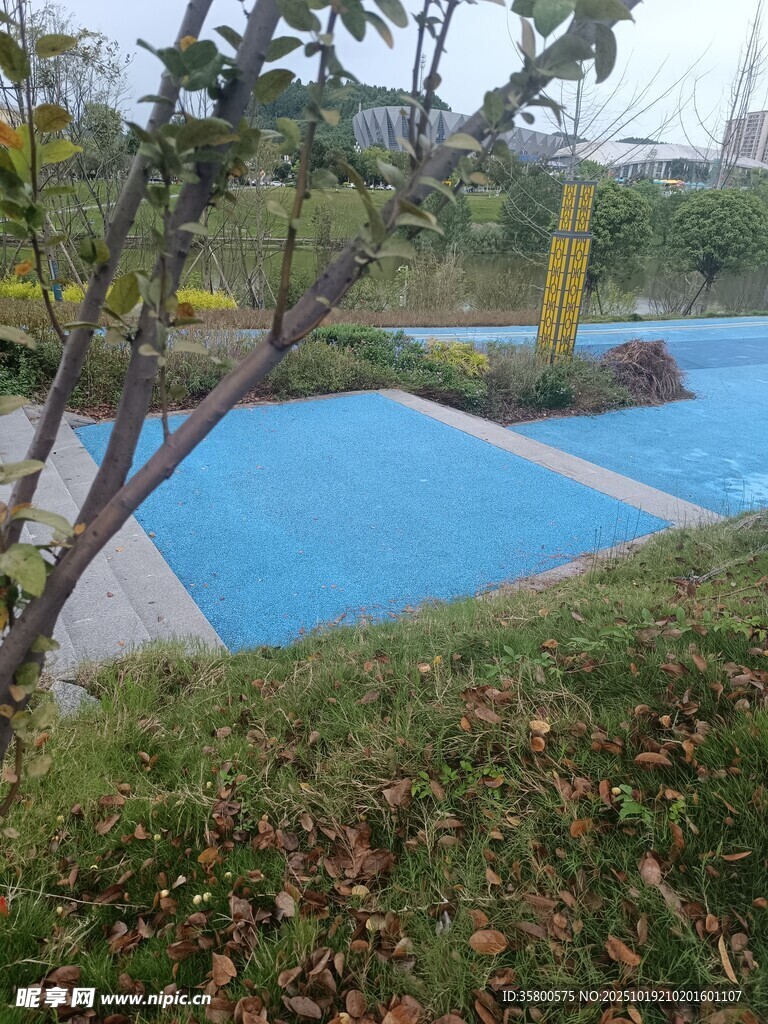 户外蓝色景观水池及绿植
