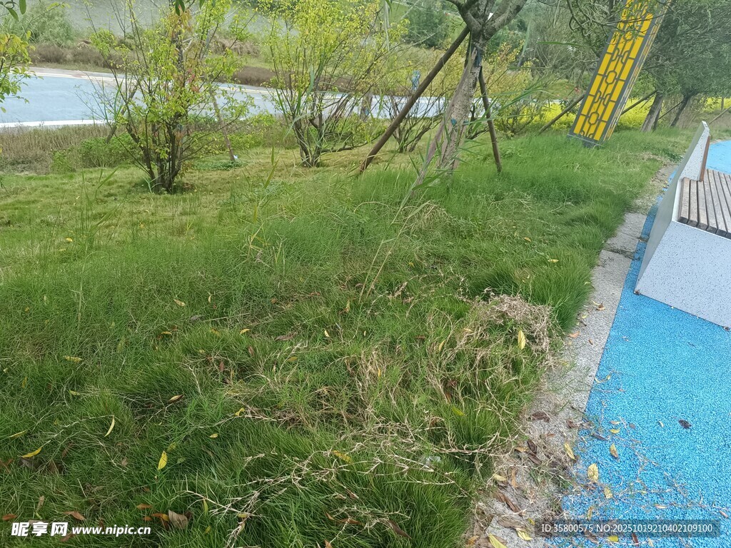 户外草地与蓝色步道景观