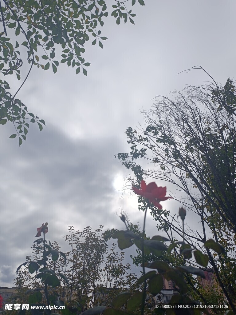 户外游乐设施在阴天景象